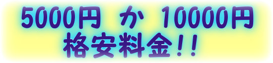 完全低価格定額にて記帳代行いたします
